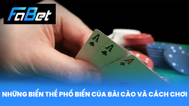 Luật Chơi Bài Cào Hướng Dẫn Chi Tiết Cho Người Mới 2025