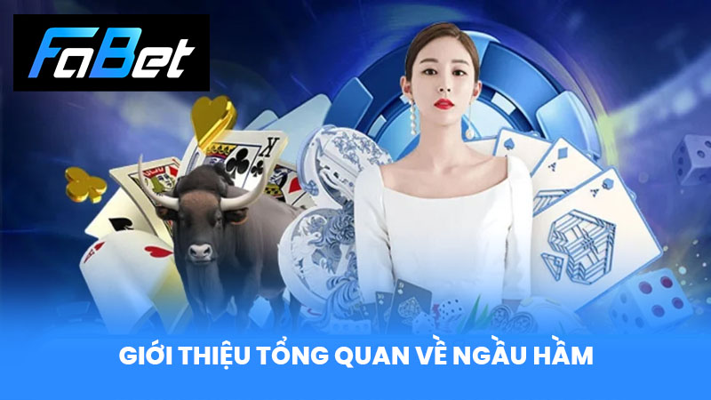 Giới thiệu tổng quan về Ngầu Hầm